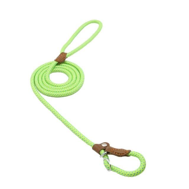Nylon Puppy