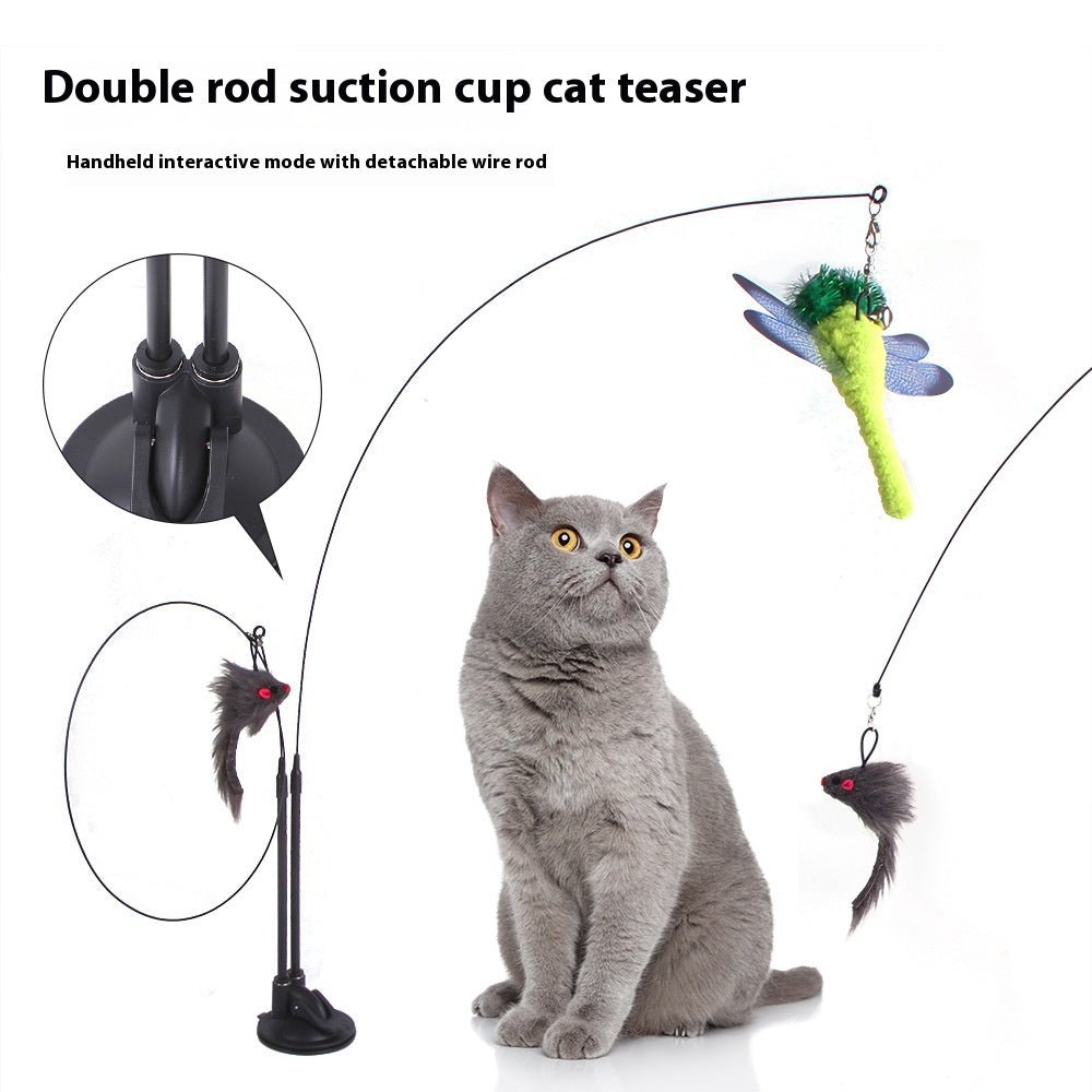 Cat Suction 