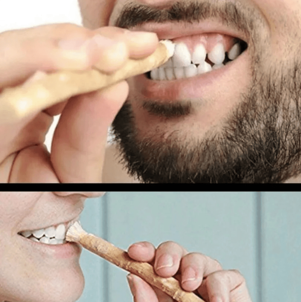 Miswak Tooth Cleaning Stick - Apexluxary