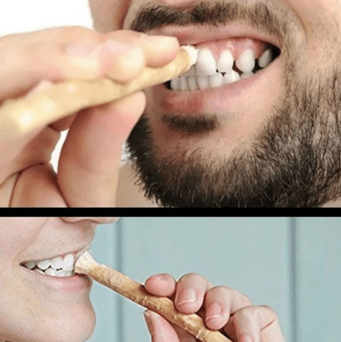 Miswak Tooth Cleaning Stick - Apexluxary