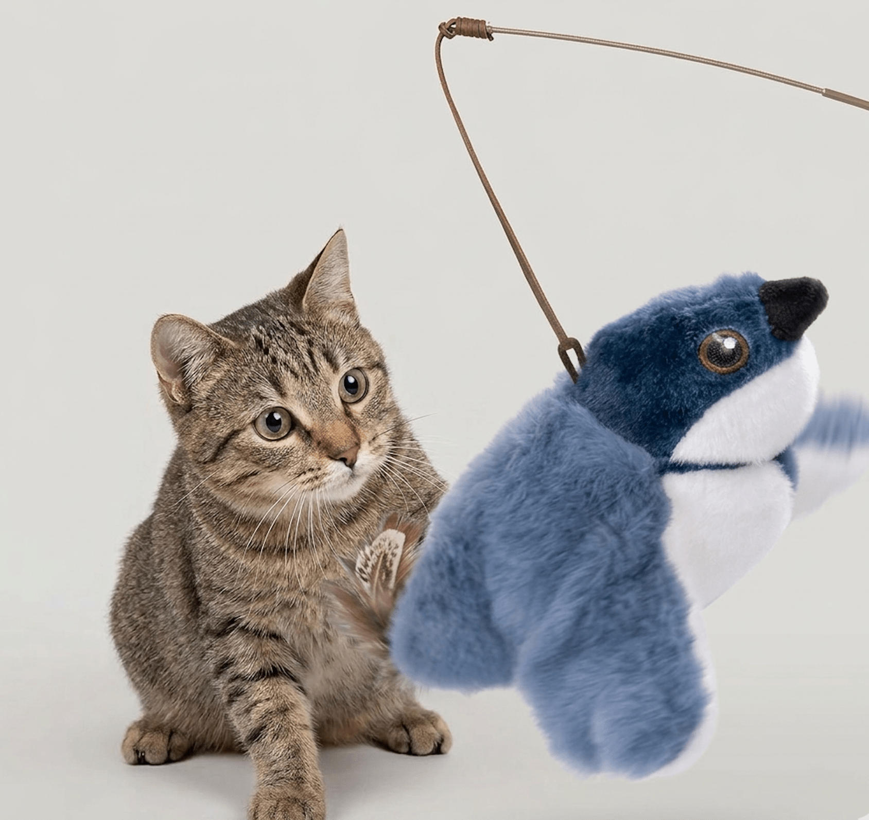 Flapping Bird Cat Toy - Apexluxary